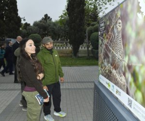Leyla Əliyeva &ldquo;Azərbaycan təbiətinin izi ilə&rdquo; sərgisinin açılışında