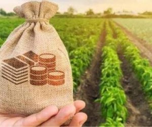 Aqrar kreditlər 2,1 milyard manata yüksəlib