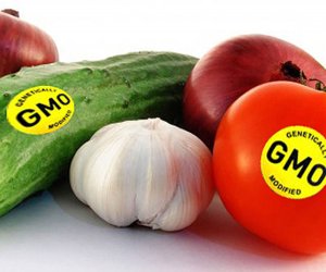 GMO məhsulların sığortalanması adi əkinlərlə eyni prinsiplərə əsaslanır - FAO rəsmisi