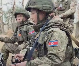 Массовая гибель северокорейцев в Курске