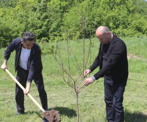 В Ходжалы проведена акция по посадке деревьев