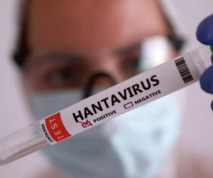 Первый случай хантавируса во Франции