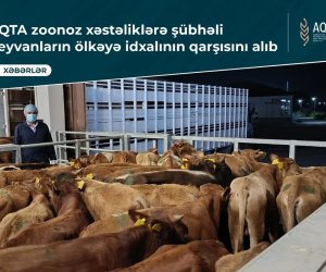 Zoonoz xəstəlik şübhəsi olan heyvanların Azərbaycana idxalının qarşısını alıb