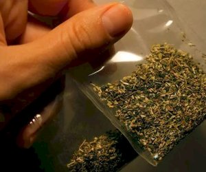 В Дагестане силовики пресекли доставку более полутонны марихуаны