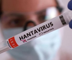 Kanadada hantavirusa yoluxma aşkarlanıb