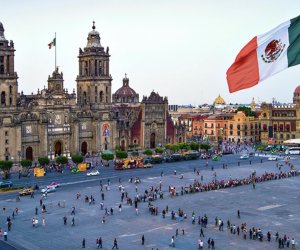 WUF14 to be held in Mexico City in 2028