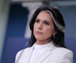 Axios: Тулси Габбард была вовлечена в конфликт с ЦРУ перед отставкой