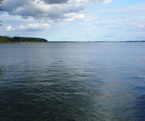 Дрон залетел в Латвию и упал в озеро