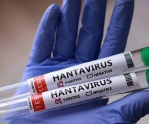 Hantavirusa yoluxanların sayı 13-ə çatıb