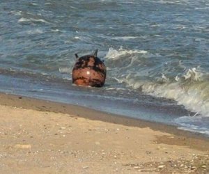 NBC: Военные США не могут подтвердить наличие иранских мин в Ормузском проливе