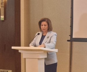 Azərbaycanda doğum səviyyəsi kritik həddə çatmayıb &ndash; Bahar Muradova