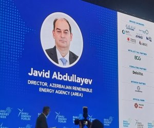 Özbəkistanın enerji keçidi üzrə yol xəritəsi regional yaşıl enerji əməkdaşlığını gücləndirəcək &ndash; AREA