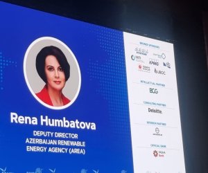 Arktikada dəyişikliklər sürətlənir &ndash; AREA rəsmisi iqlim risklərindən danışıb