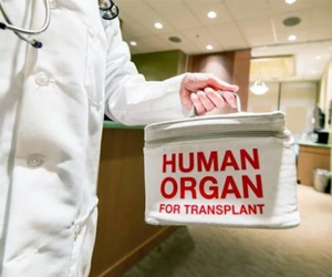 Kök hüceyrələrin transplantasiyasının say həddi 20-dən 50-yə qaldırılıb - qərar