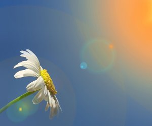 В Баку будет до 31 градуса тепла