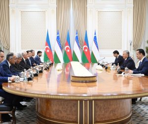 Əli Əsədov Özbəkistan Prezidenti ilə görüşüb