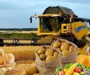 Azərbaycanda kənd təsərrüfatı istehsalı 2,3% artıb