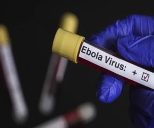WHO identifies countries at risk of Ebola spread