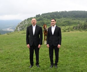 Карабахский скакун для президента Туркменистана