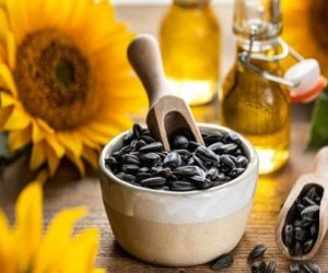 Oil World forecasts largest sunflower crop in five years