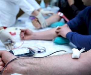 
Aşura günü ilə bağlı qanvermə aksiyasında 225.45 litr qan toplanıb