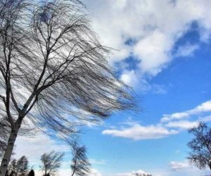 Küləkli hava ilə bağlı xəbərdarlıq edilib
