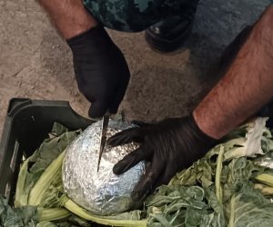 DSX: İyunda 4,8 milyon manatdan çox dəyərində qaçaqmal müsadirə edilib