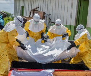Число погибших от лихорадки Эбола в ДР Конго превысило 490