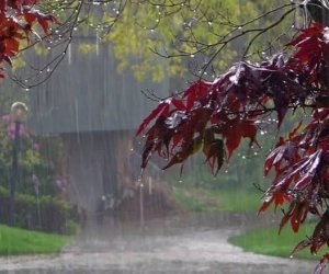 Bəzi rayonlara intensiv yağış yağacaq, çaylardan sel keçəcək - XƏBƏRDARLIQ