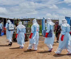 Число погибших от Эболы в ДР Конго превысило 500 человек