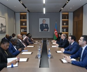 Ceyhun Bayramov Zimbabve Milli Assambleyasının sədri ilə görüşüb