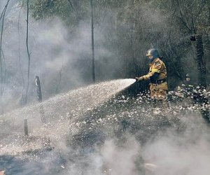Rusiyanın Yakutiya regionunda meşə yanğınlarına görə fövqəladə vəziyyət elan edilir