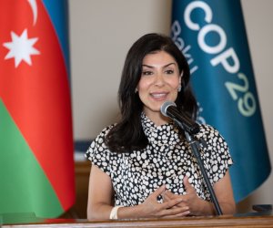Arpadarai: Kraudfandinqin digər formalarının hüquqi statusu da dəqiqləşdirilməlidir