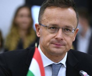 Экс-глава МИД Венгрии отказался от депутатства ради работы в китайском автогиганте