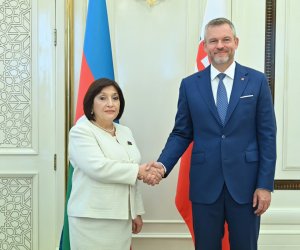 Sahibə Qafarova Pelleqrini ilə görüşüb