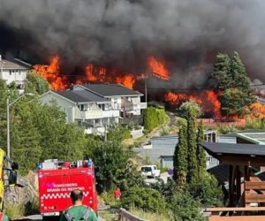 Более 100 домов сгорели в Норвегии - пожар продолжает распространяться