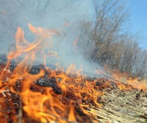 В Агдаме на заминированной территории произошел пожар