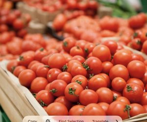 Azerbaijan transports 12.7 million tonnes of oil via BTC in January-May