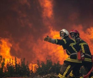 Лесные пожары во Франции бьют антирекорды