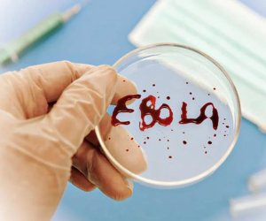Ebola qurbanlarının sayı 1 354-ə çatdı
