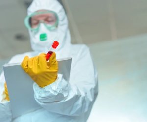 

СМИ сообщили о случае заражения в штате Нью-Йорк редким вирусом бурбон
