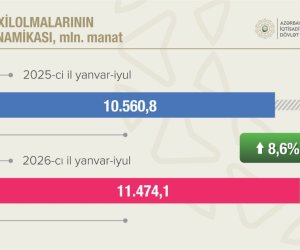 Azərbaycanda vergi daxilolmaları yeddi ayda 11,5 milyard manatı ötüb