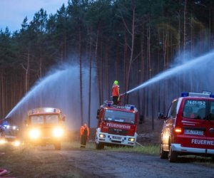 В Германии из-за масштабного лесного пожара эвакуируют около 1,8 тыс. человек