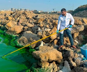 Böyükşor gölünün bir hissəsinin yaşıl rəngə boyanmasının səbəbi araşdırılır