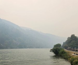 Крупнейший лесной пожар в Бельгии