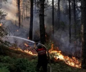 Türkiyədə meşə yanğınları ilə bağlı 11 nəfər həbs edildi