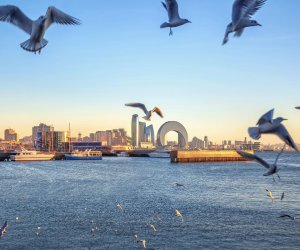 Sabahın hava proqnozu açıqlanıb