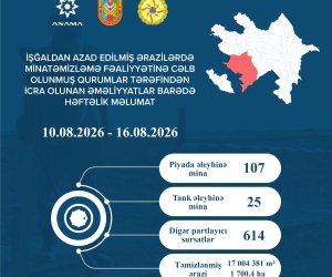 Azad edilmiş ərazilərdə bir həftədə 746 mina və partlayıcı sursat zərərsizləşdirilib
