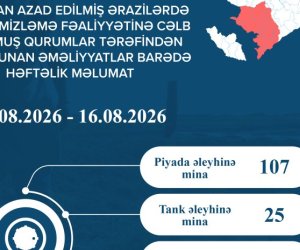 На освобожденных территориях за неделю обезврежено 746 мин и боеприпасов &mdash; ANAMA