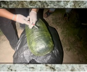 Sabirabadda 8 kiloqram narkotik vasitə aşkarlanıb